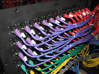 CAT6 Shielded Stranded Cable Assemblies